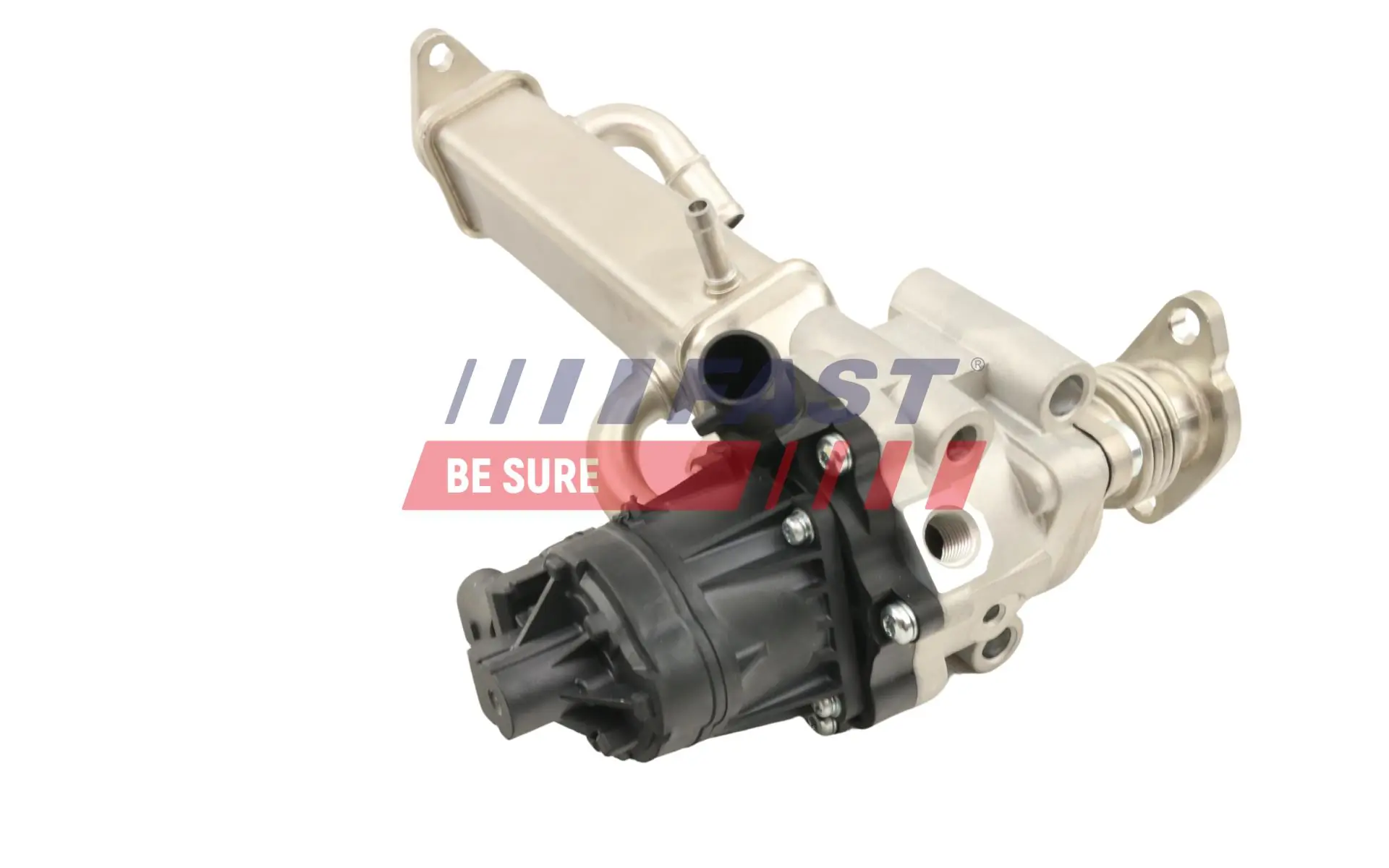 EGR Module