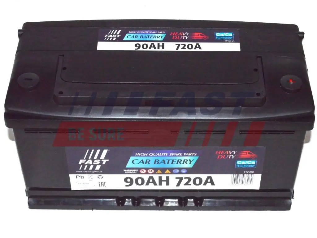 Starter Battery