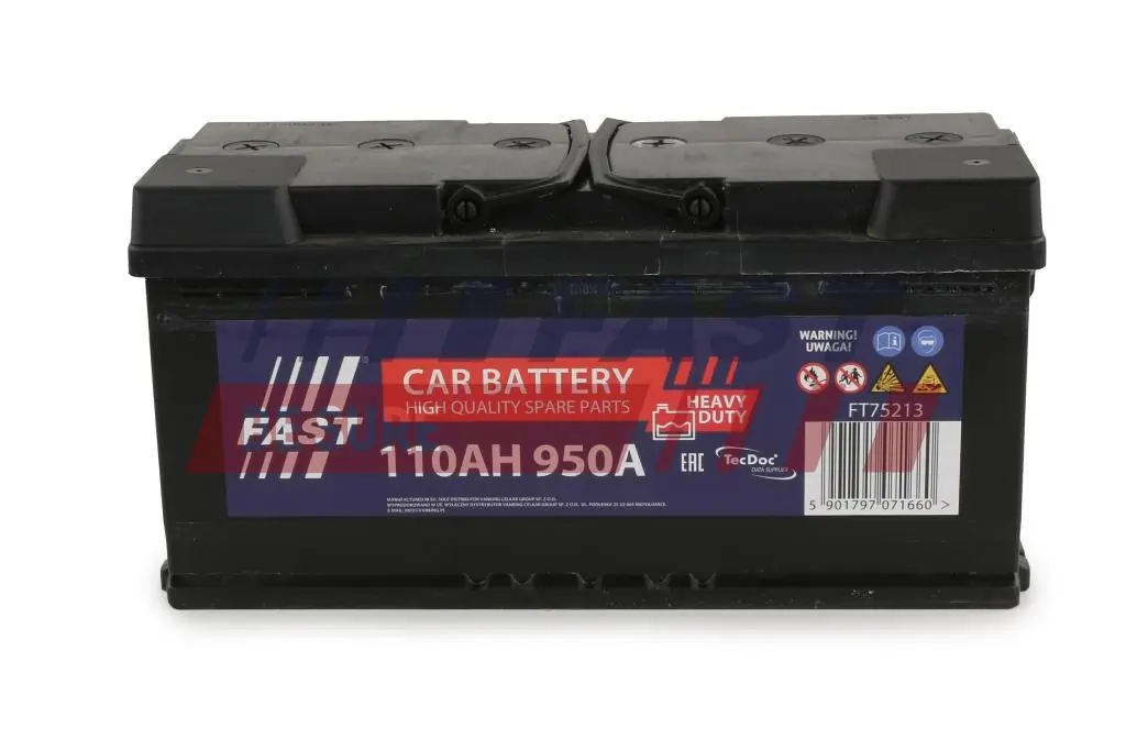 Starter Battery