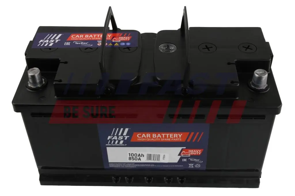 Starter Battery