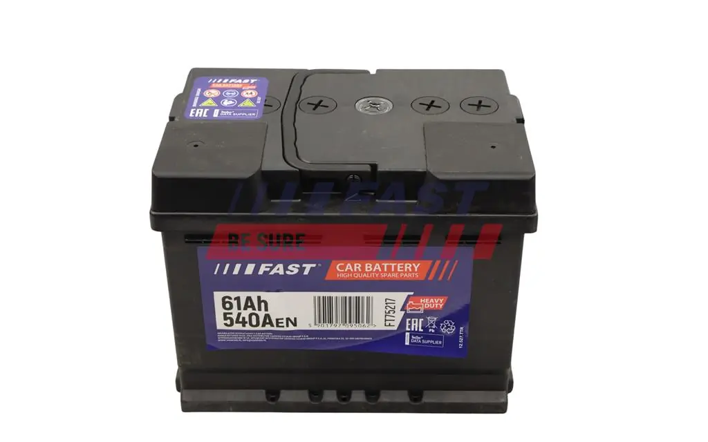Starter Battery