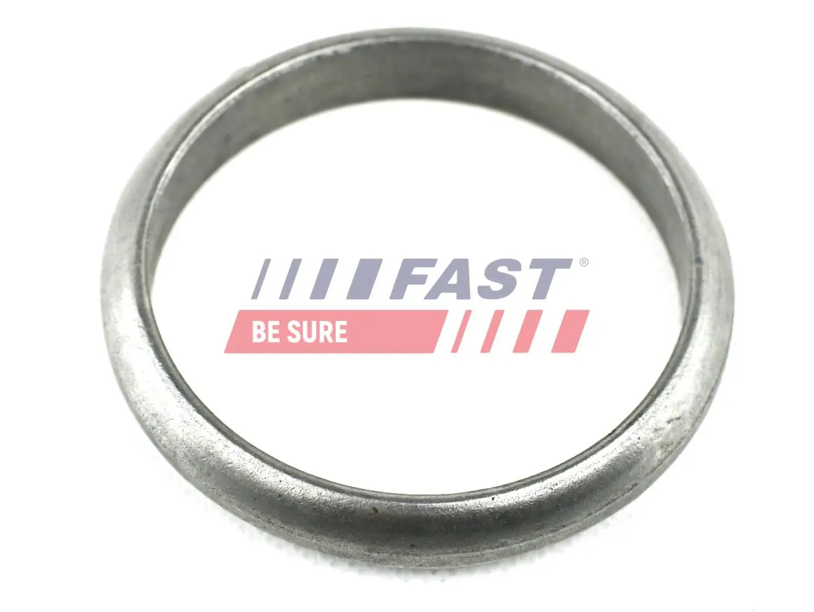 Seal Ring, exhaust pipe