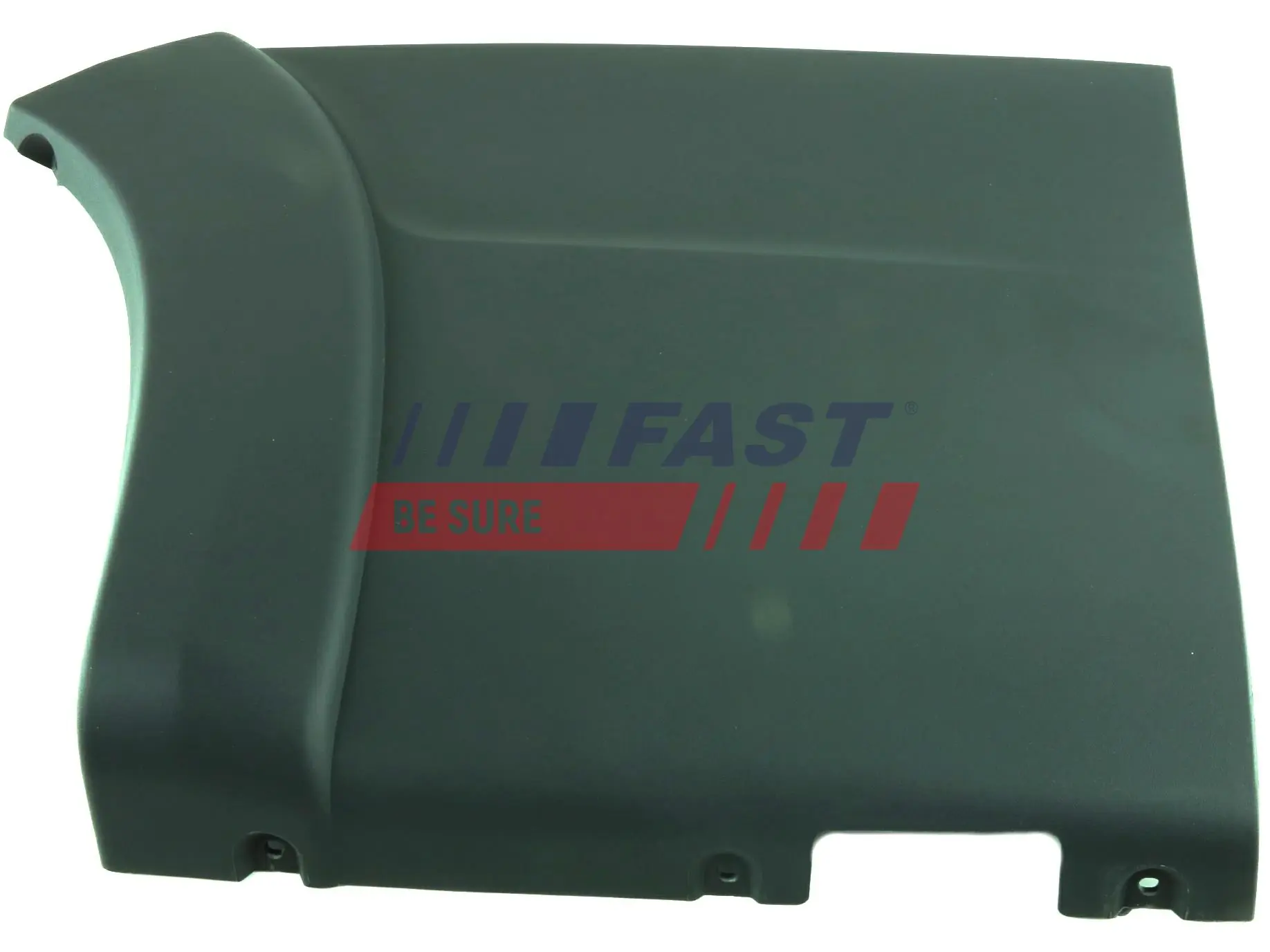 Trim/Protection Strip, quarter panel