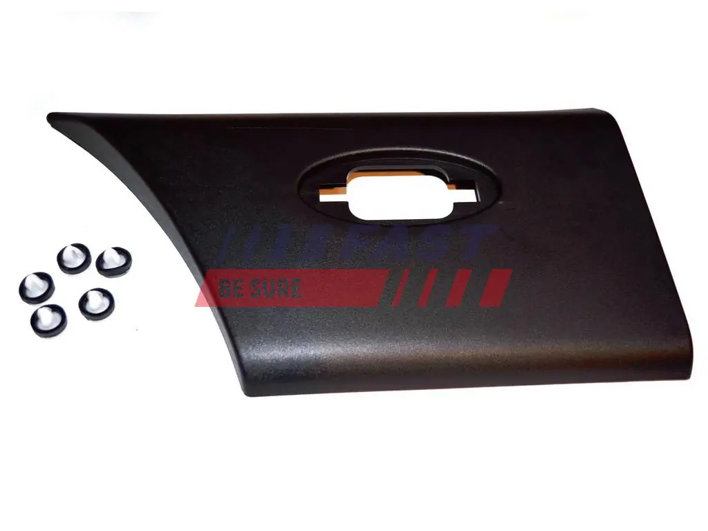 Trim/Protection Strip, quarter panel
