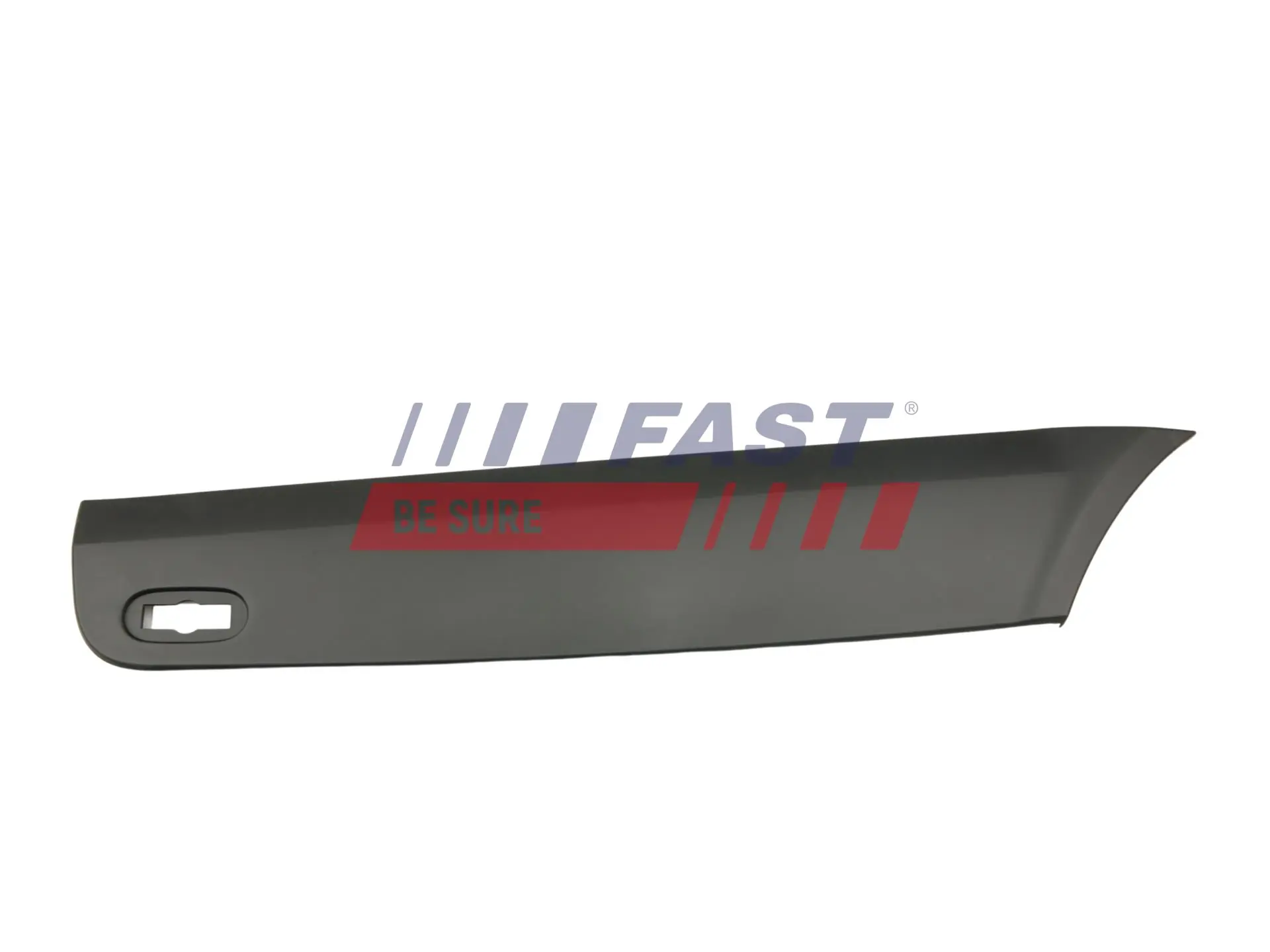 Trim/Protection Strip, quarter panel