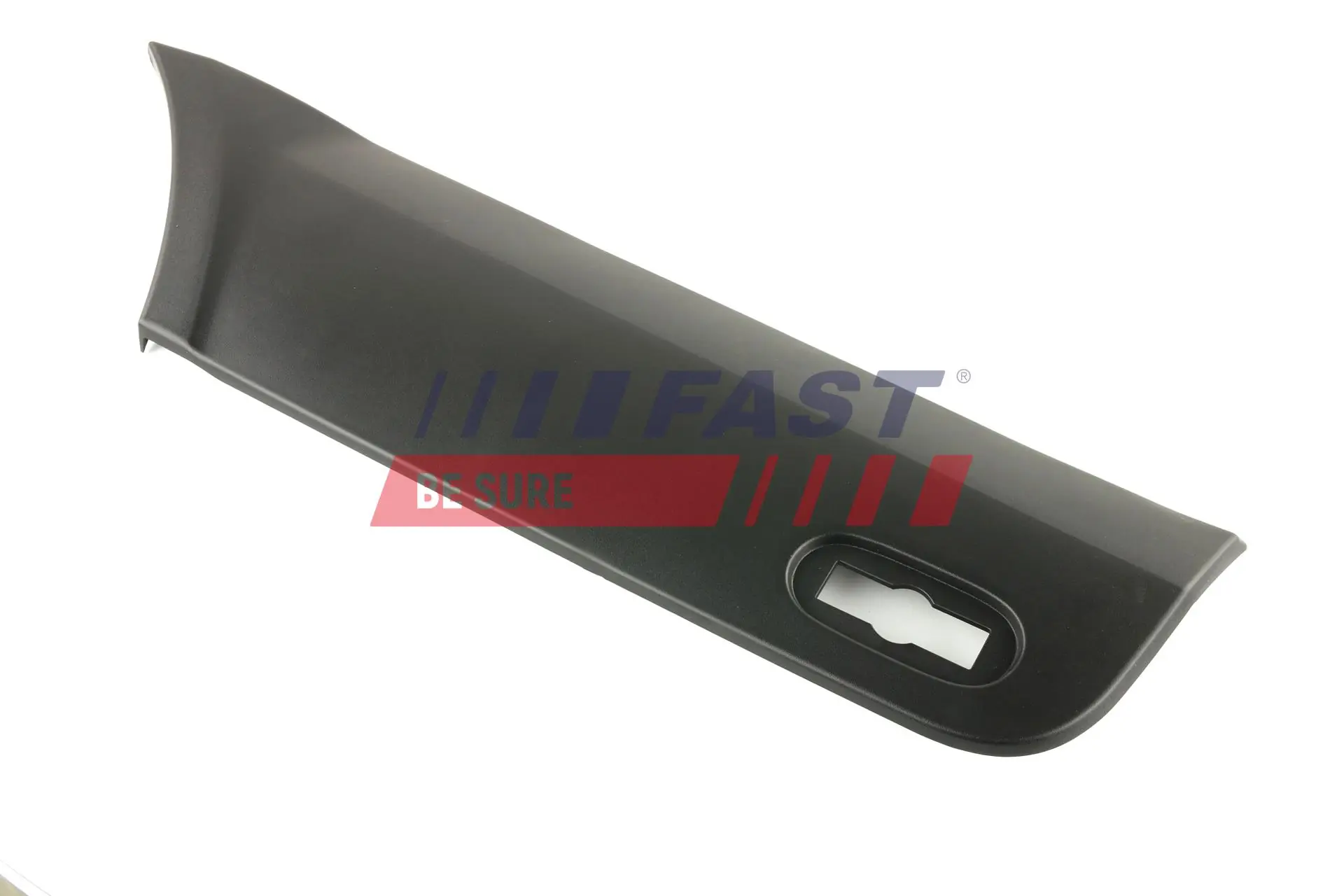 Trim/Protection Strip, quarter panel