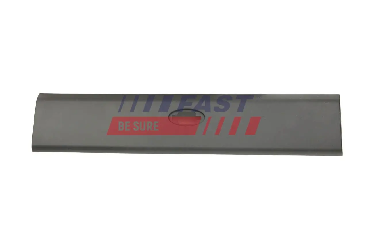 Trim/Protection Strip, quarter panel
