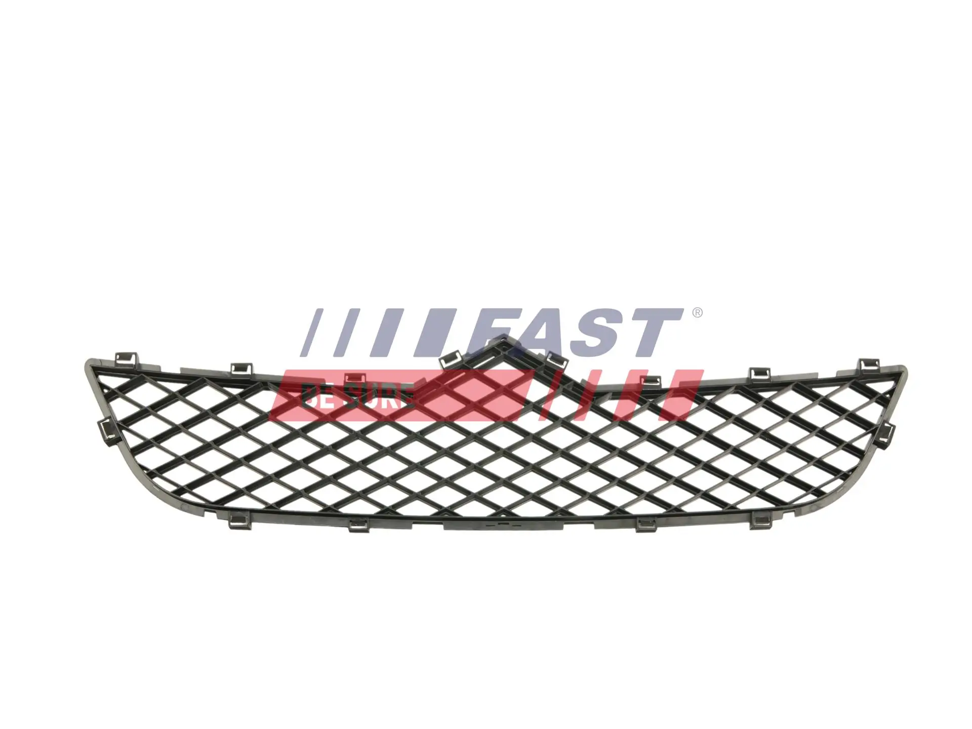 Radiator Grille
