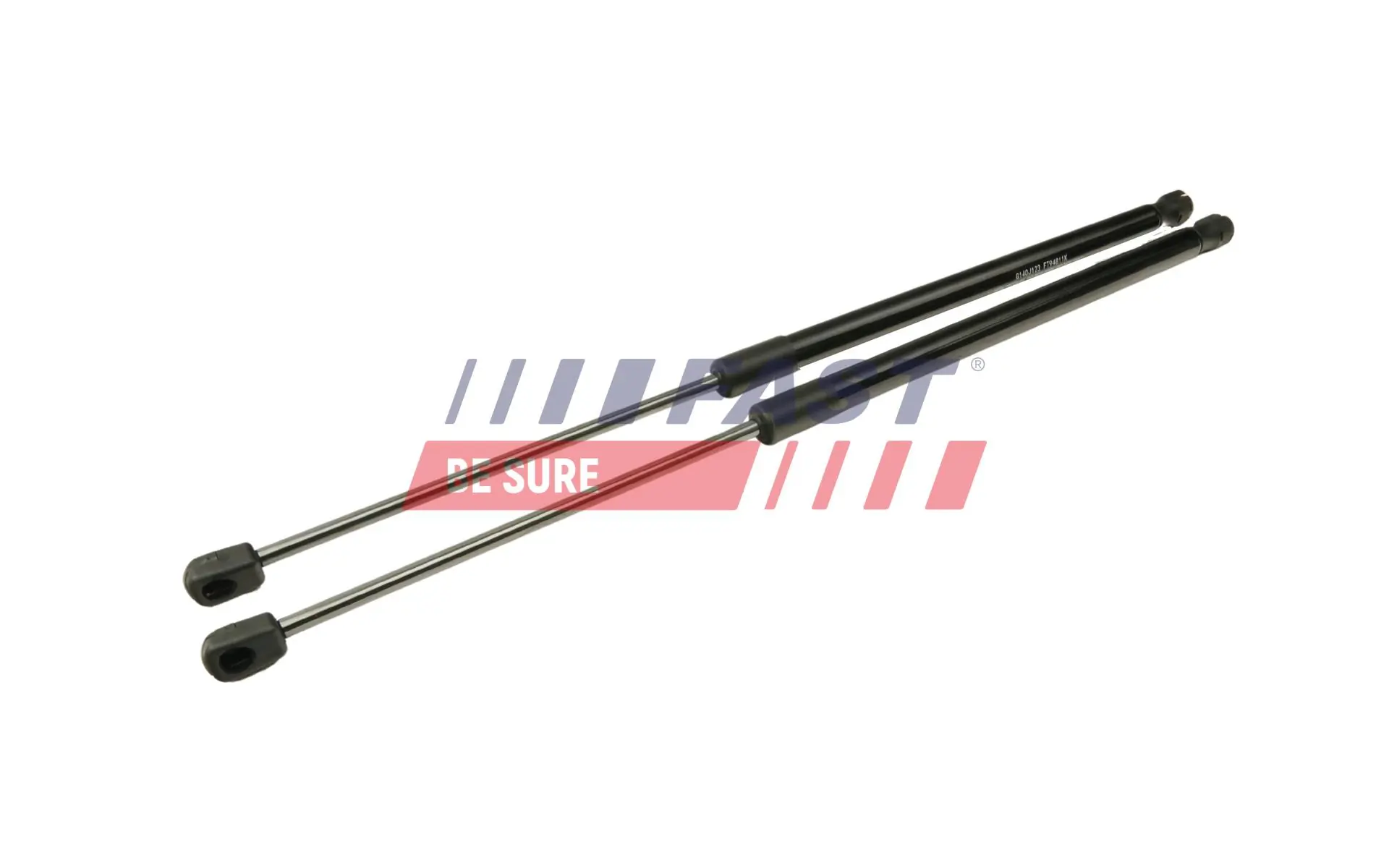 Gas Spring, boot/cargo area