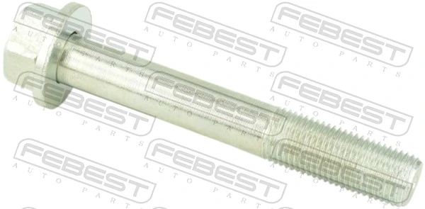 Camber Correction Screw