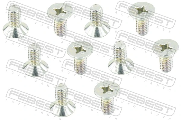 Fastening Bolt, control arm
