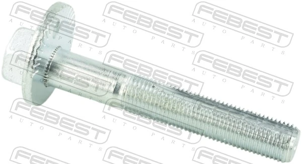 Camber Correction Screw