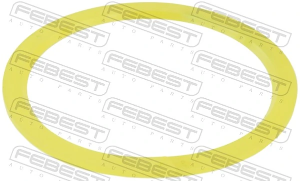 Gasket, differential