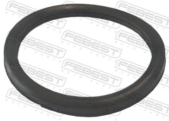 Gasket, coolant flange