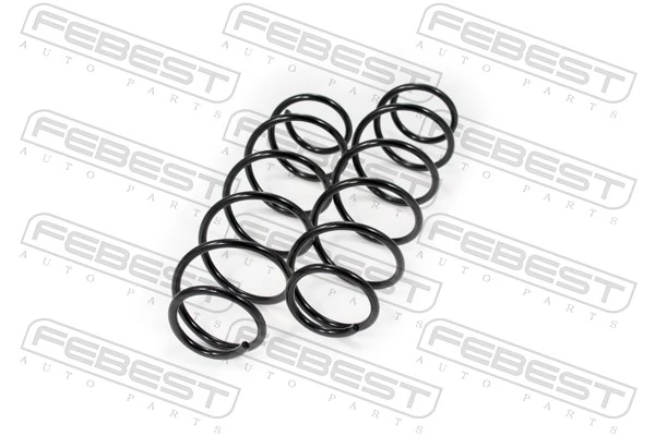 Suspension Set, springs