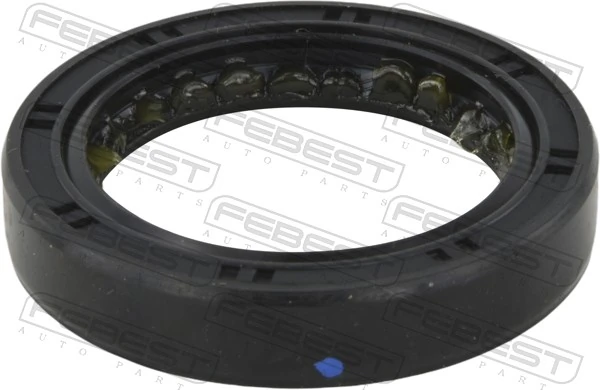 Shaft Seal, differential