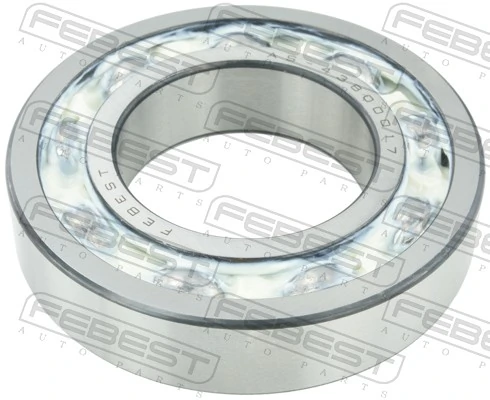 Bearing