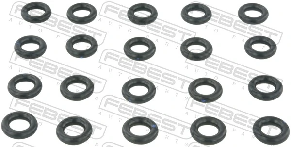 Seal Ring, injector