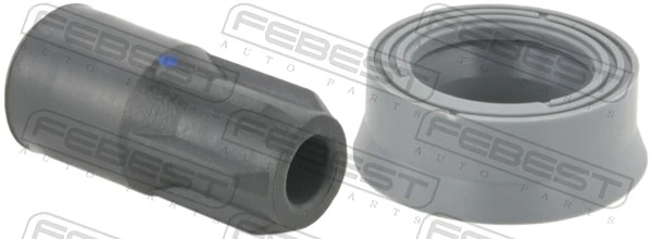 Plug, coil