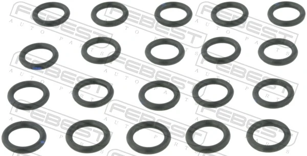 Seal Ring, injector