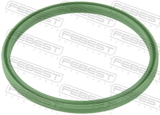 Seal Ring, charge air hose