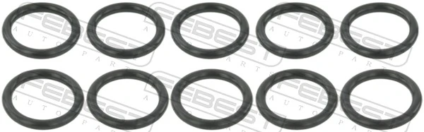 Seal Ring, injector