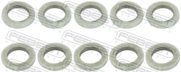 Seal Ring, injector