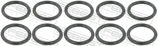 Seal Ring, injector