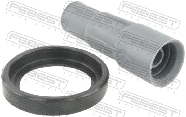 Plug, coil