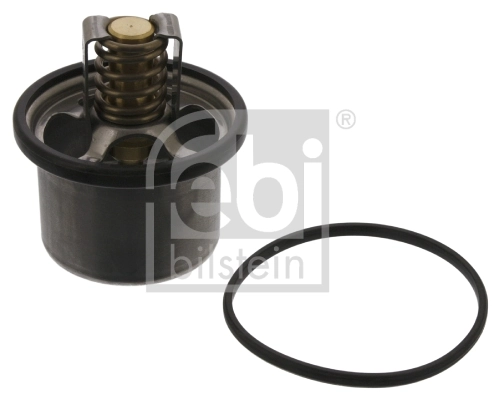 Thermostat, coolant