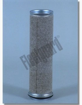 Secondary Air Filter