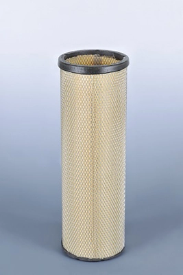 Secondary Air Filter