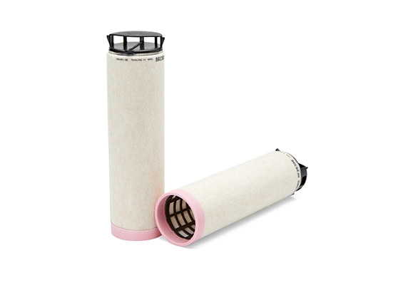 Secondary Air Filter