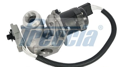 EGR Valve