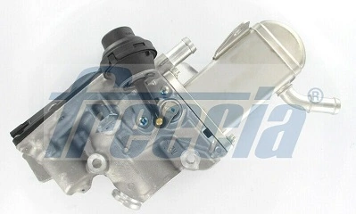 EGR Module