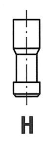 Exhaust Valve