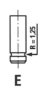 Intake Valve
