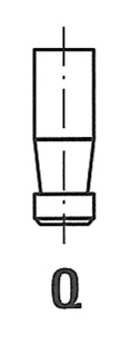 Intake Valve