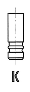 Exhaust Valve