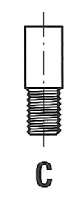 Intake Valve
