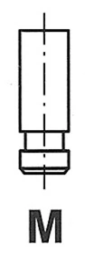 Exhaust Valve