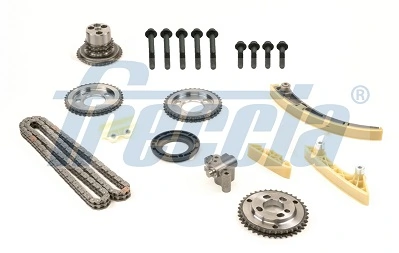 Timing Chain Kit