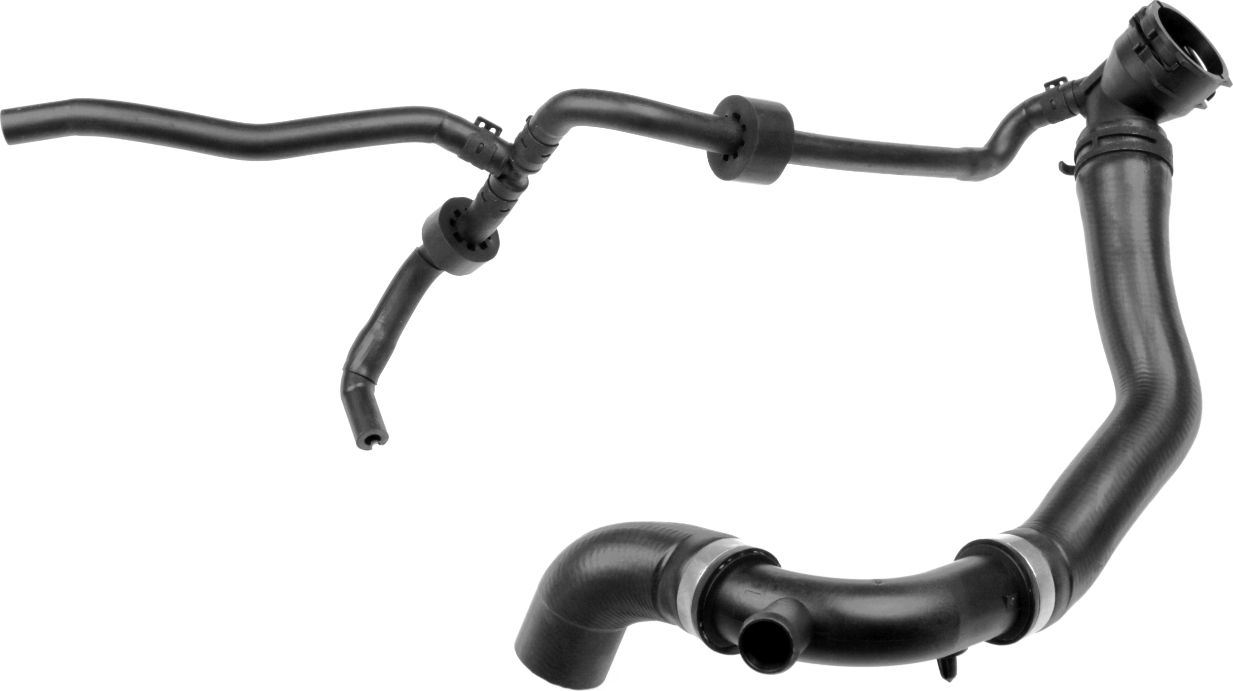 Radiator Hose