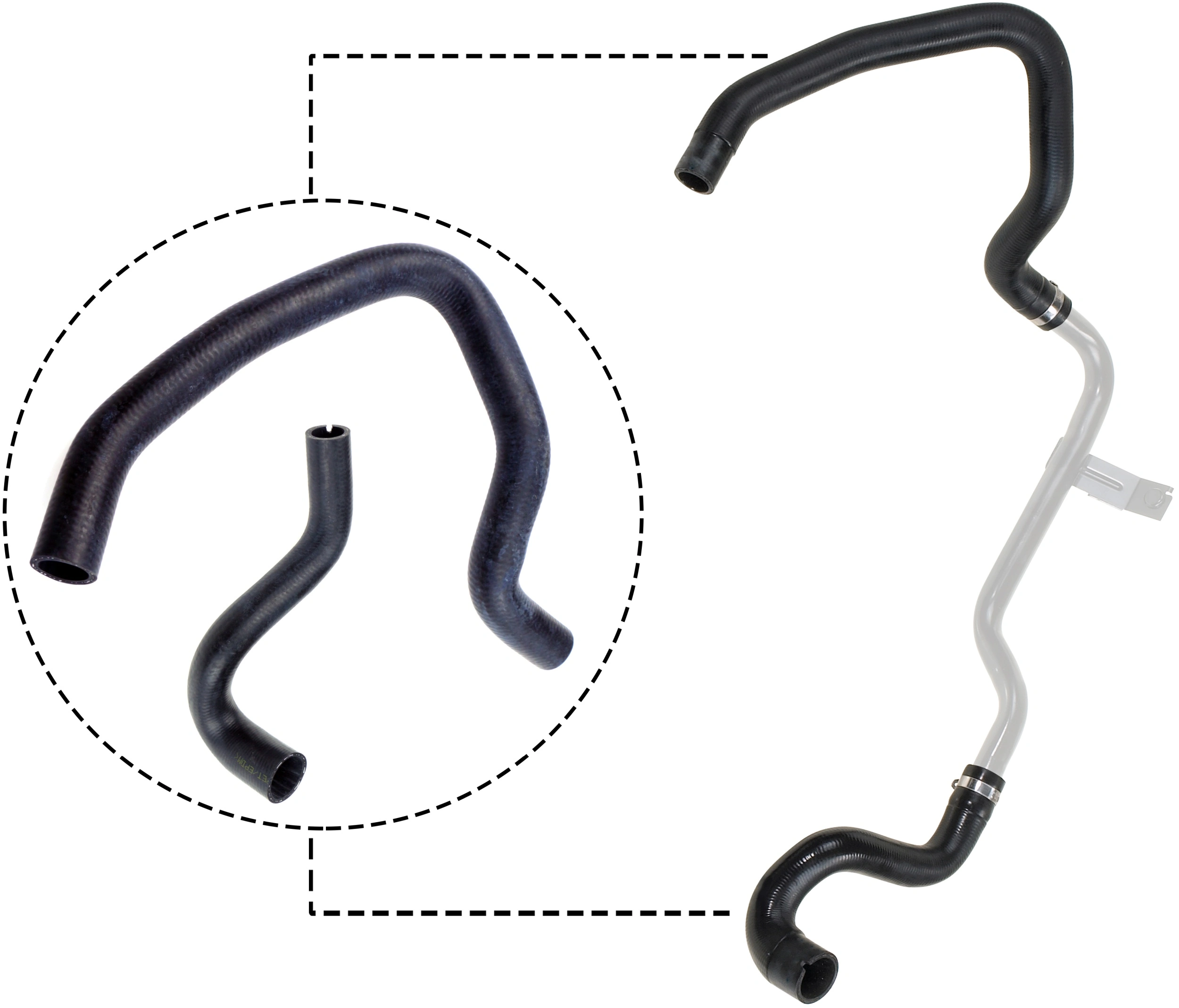 Radiator Hose