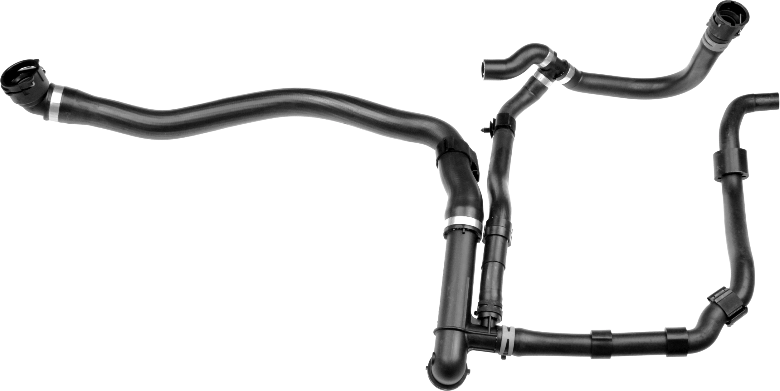 Radiator Hose