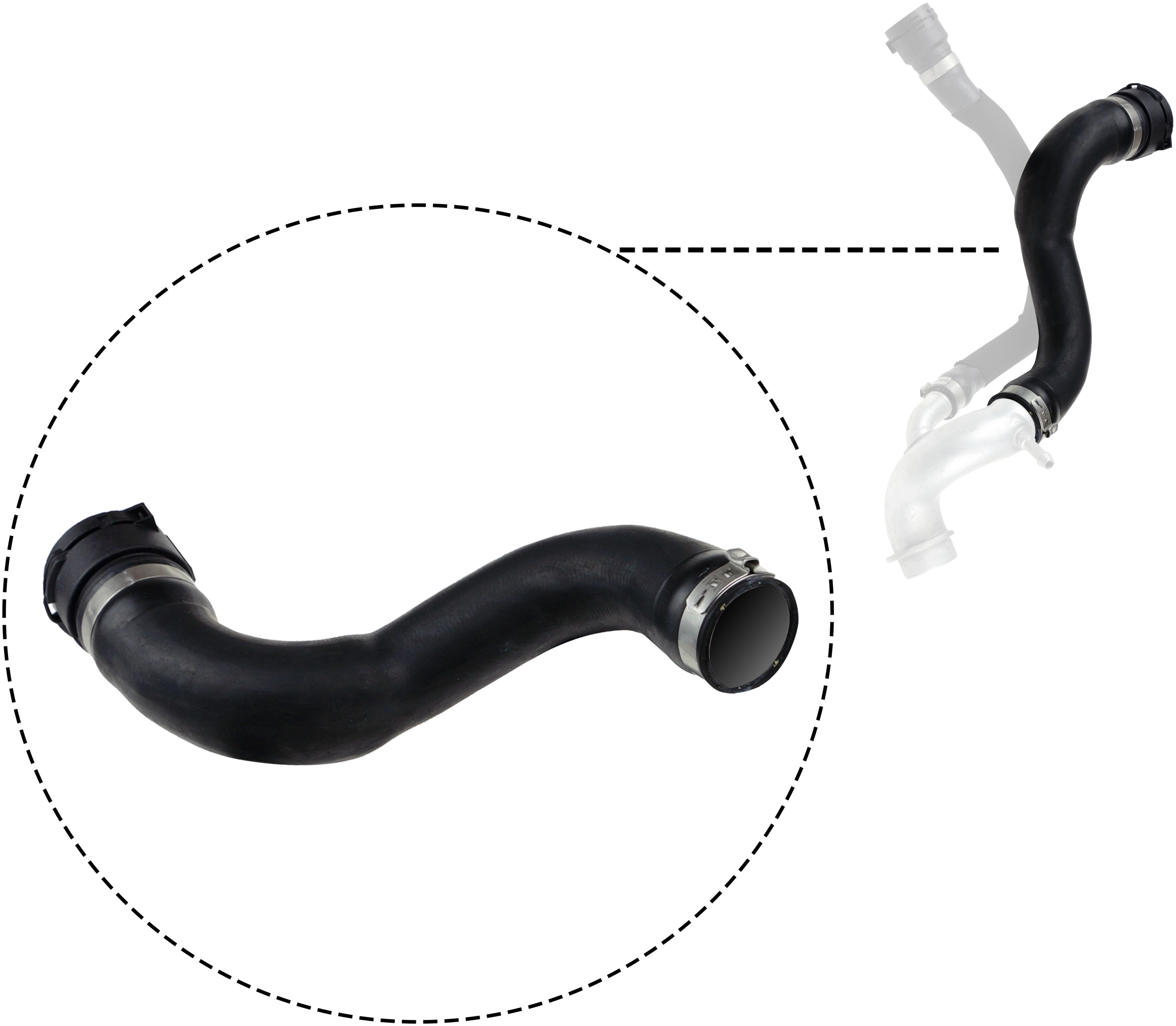 Radiator Hose