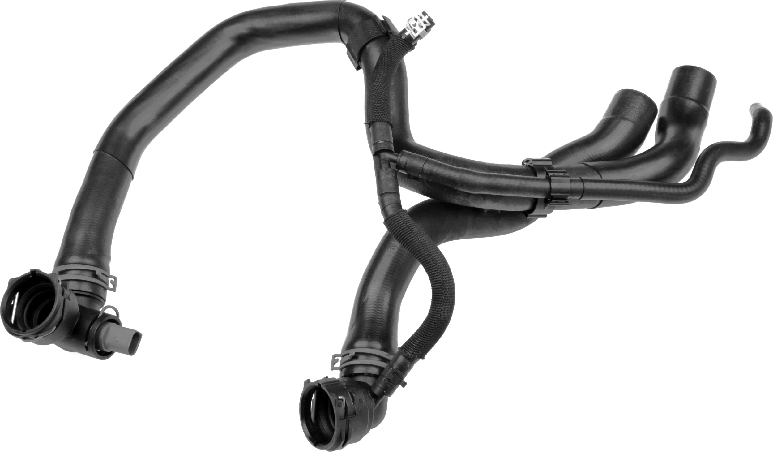Radiator Hose