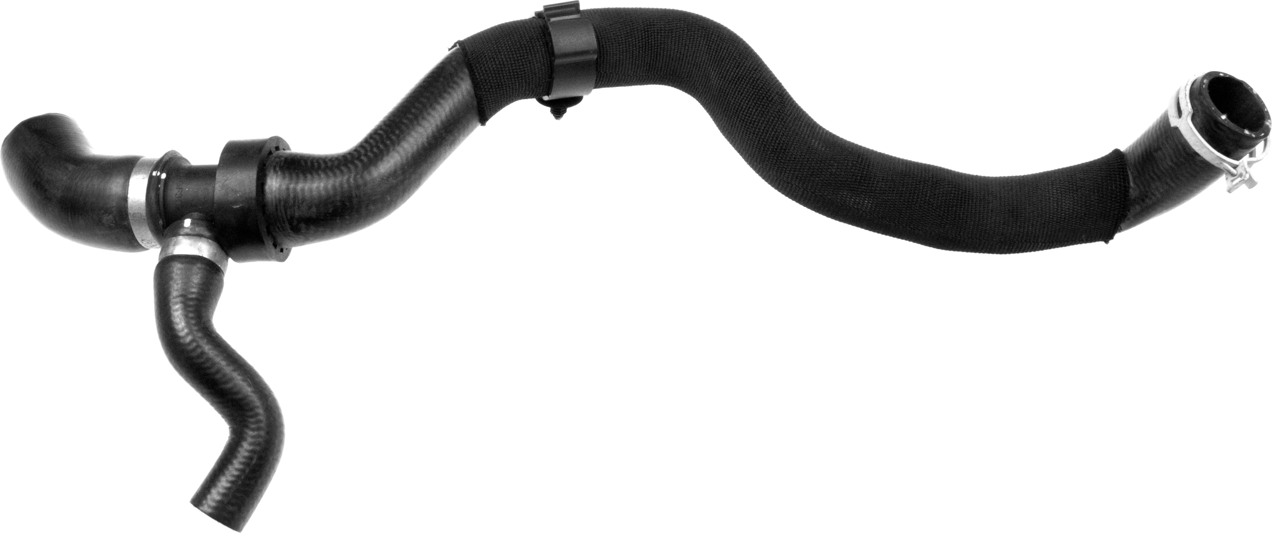 Radiator Hose