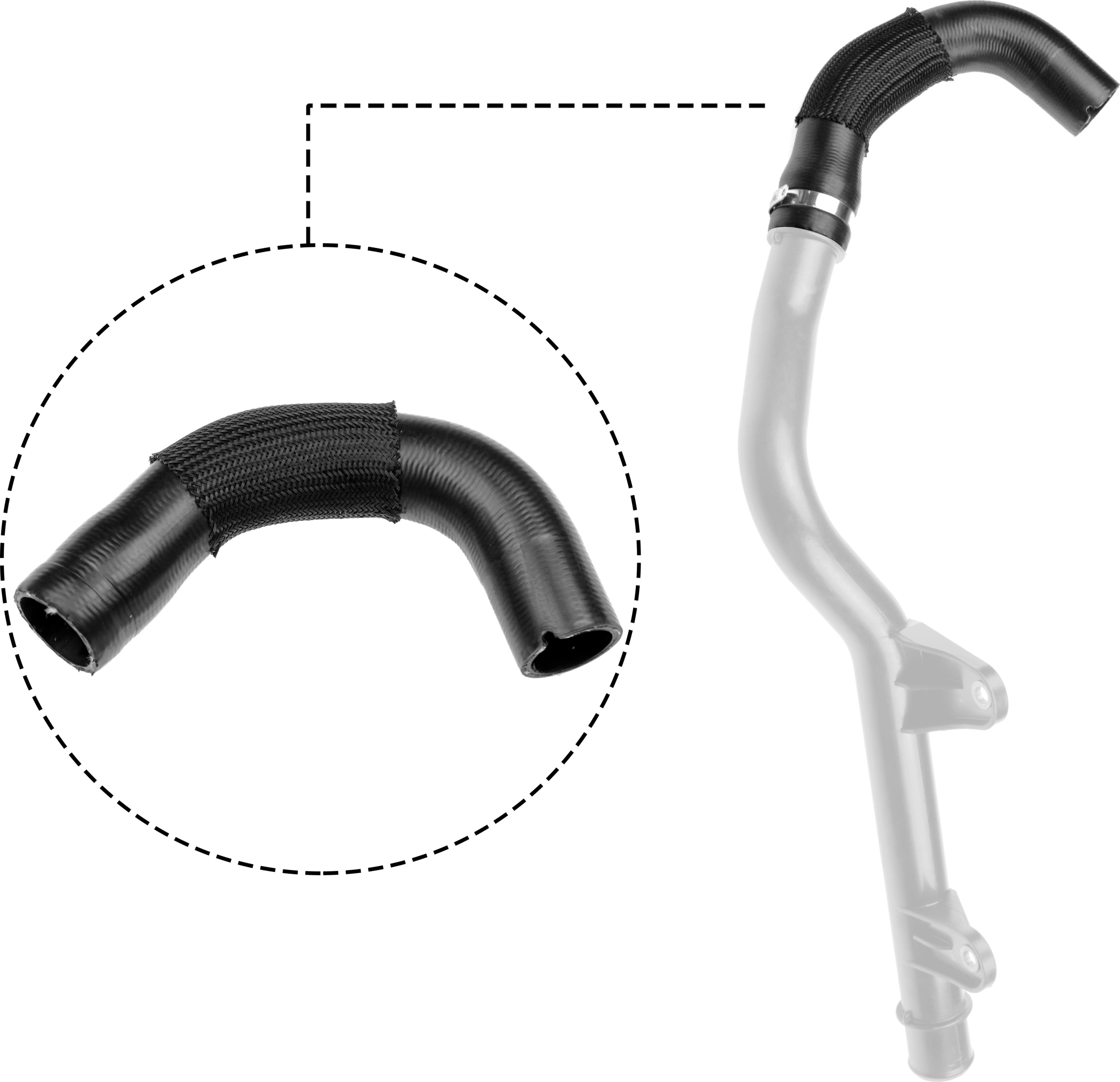 Radiator Hose