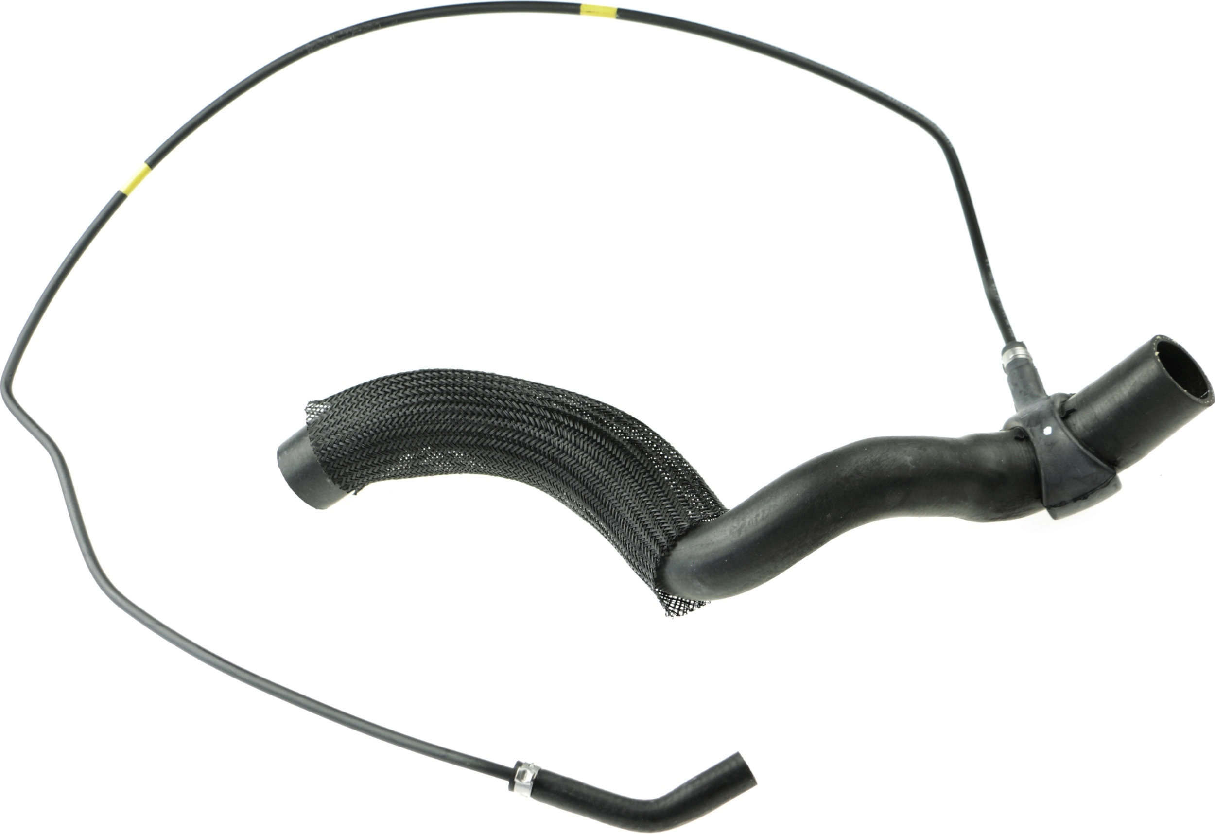 Radiator Hose
